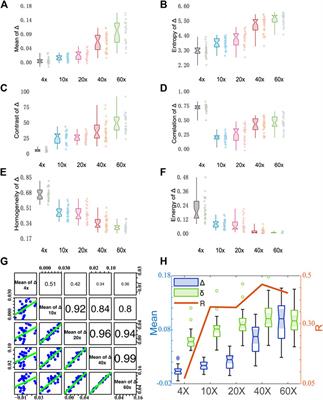 Analyzing the Influence of Imaging Resolution on Polarization Properties of Scattering Media Obtained From Mueller Matrix